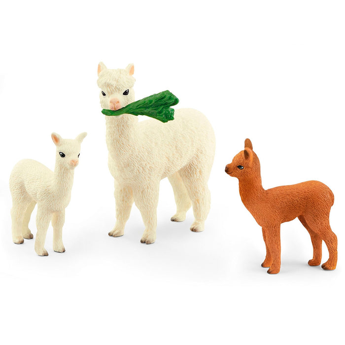 Alpaca Set