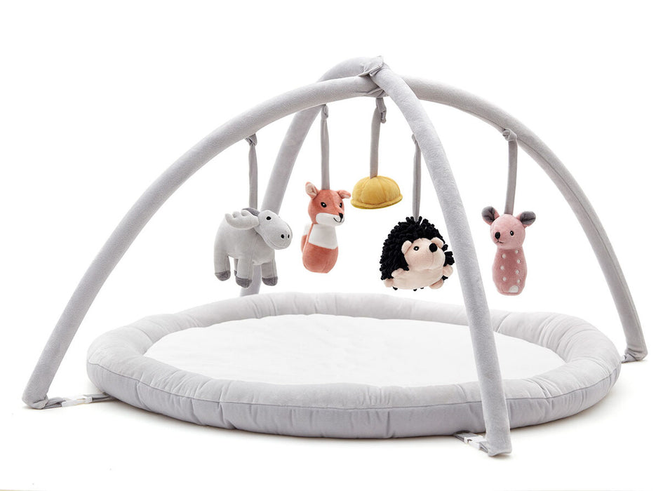 Baby Gym (Edvin)