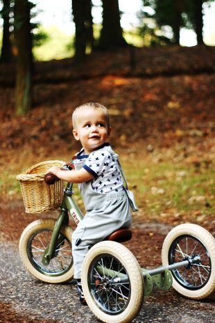 Cestino in bicicletta