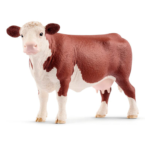 Quiford Cow