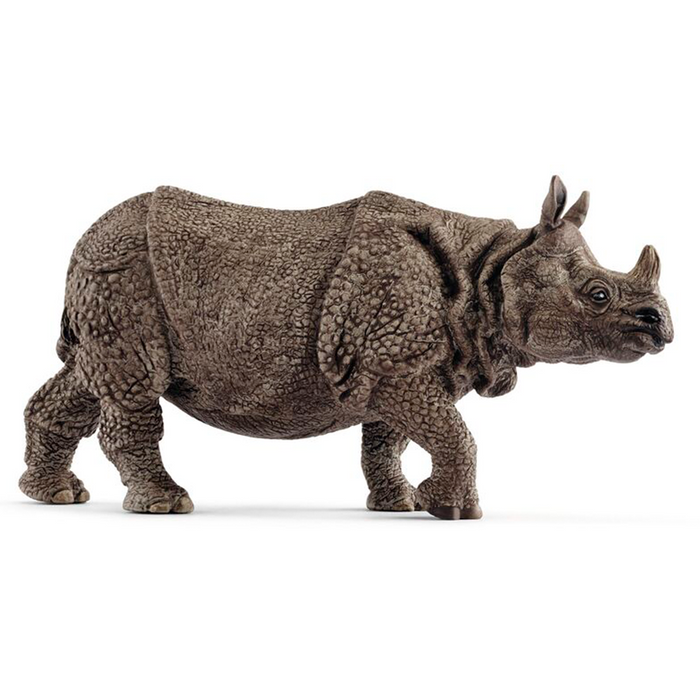 Rhino indiano