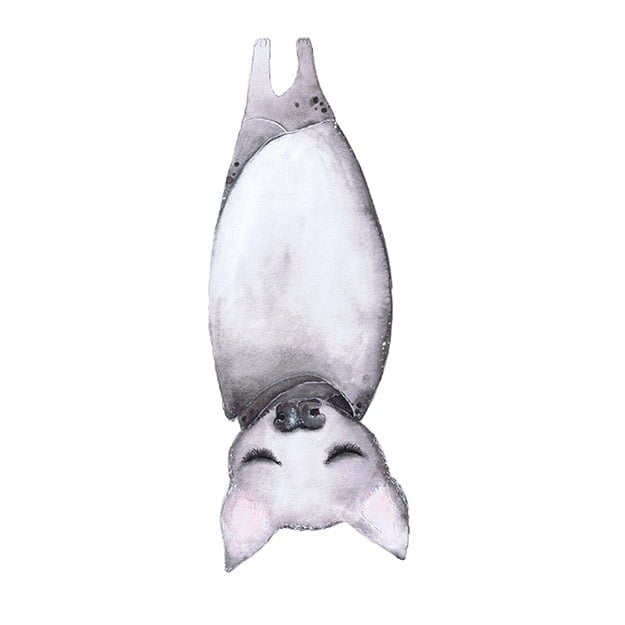 Wallstories - Olivia The Bat - Small (2pcs)