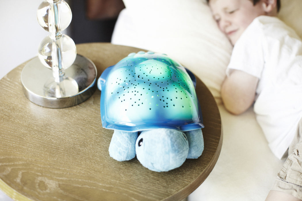 Turtle a zecca, blu