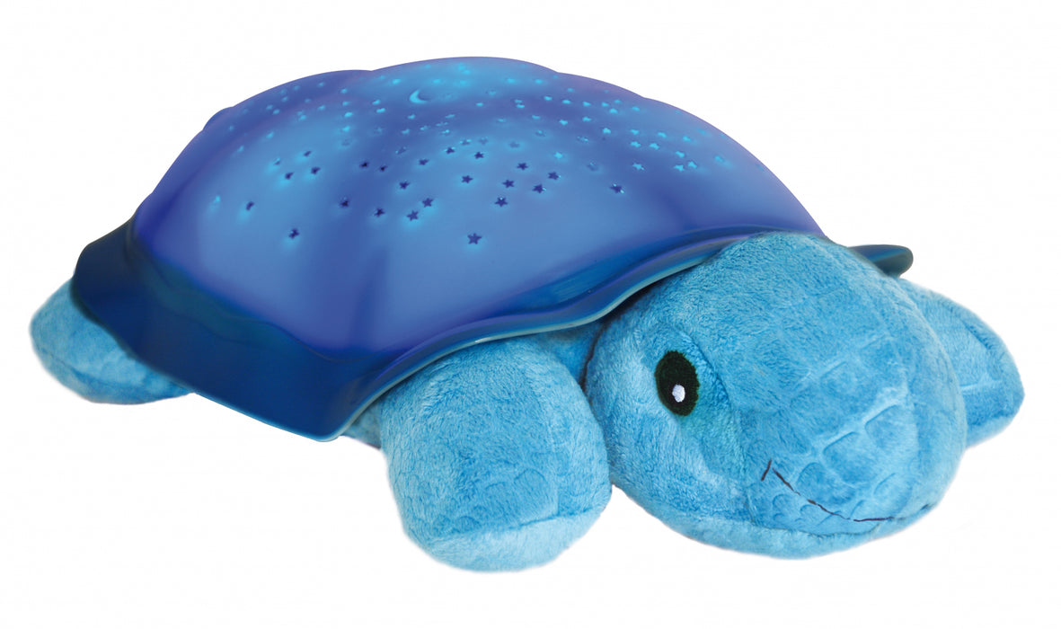 Turtle a zecca, blu